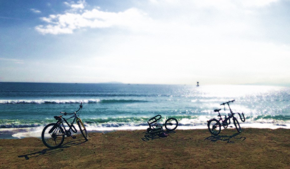 フィッシング詐欺について