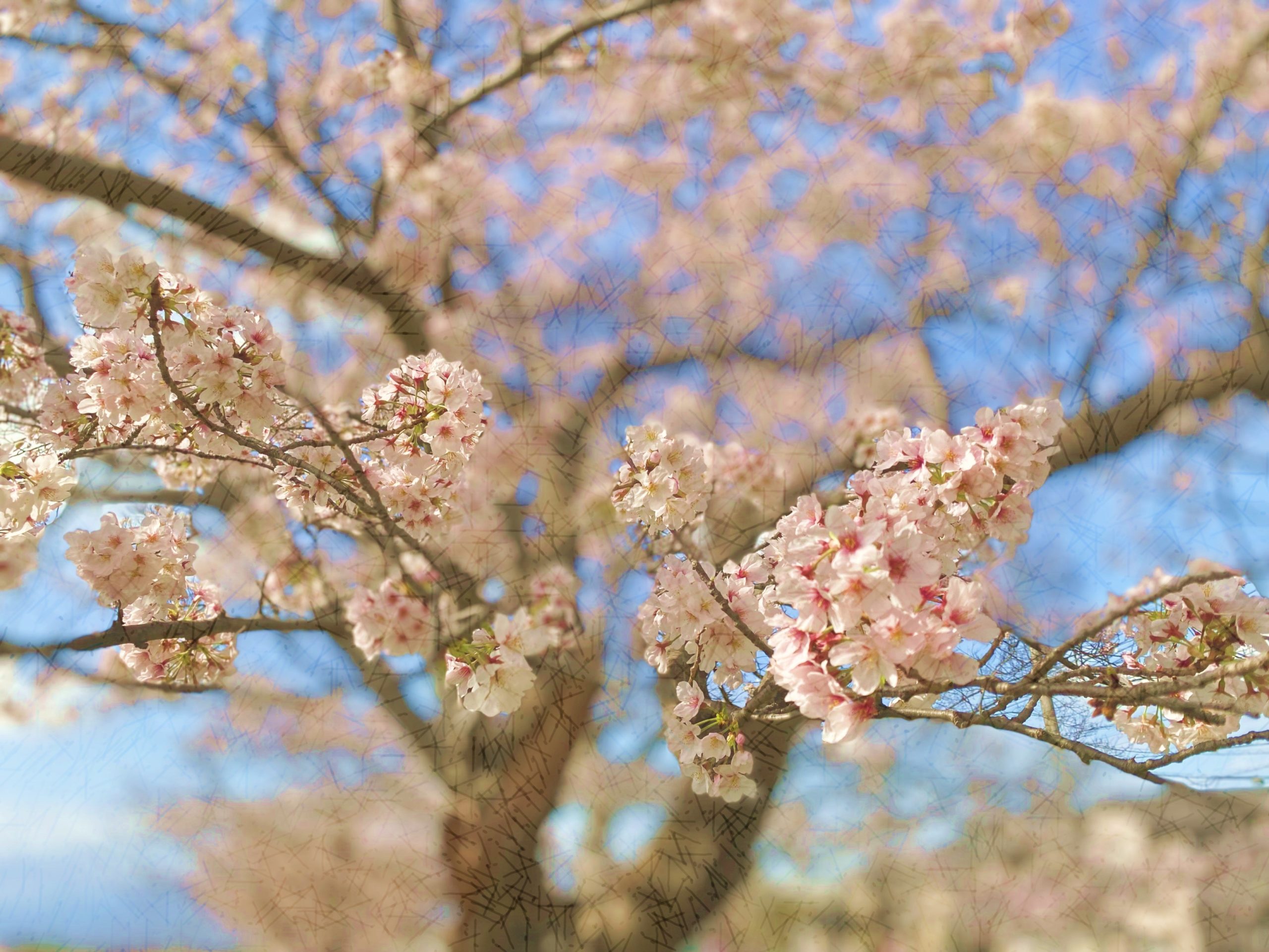 Google Forms 投稿テスト